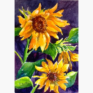 Sunflowers $30.00 (8 x 10 inches in size)