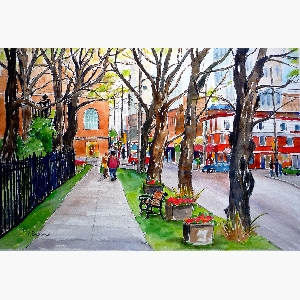 Spring Trees, Spring Garden Road, Halifax $30.00 (8 x 10 inches in size)