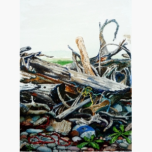 Flotsum and Jetsum, Advocate Harbour $30.00 (8 x 10 inches in size)